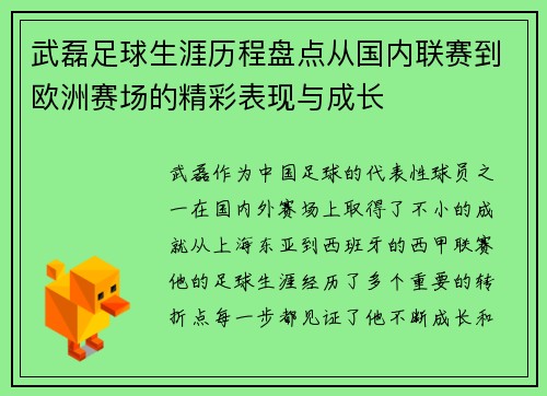 武磊足球生涯历程盘点从国内联赛到欧洲赛场的精彩表现与成长 武磊足球生涯历程盘点从国内联赛到欧洲赛场的精彩表现与成长