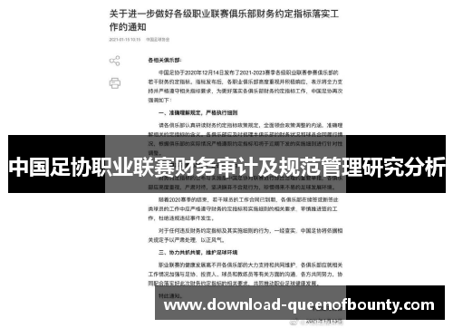 中国足协职业联赛财务审计及规范管理研究分析 中国足协职业联赛财务审计及规范管理研究分析