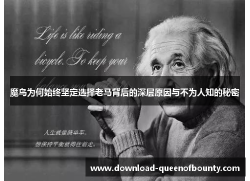 魔鸟为何始终坚定选择老马背后的深层原因与不为人知的秘密 魔鸟为何始终坚定选择老马背后的深层原因与不为人知的秘密